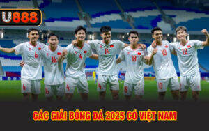 Các giải bóng đá 2025 có Việt Nam