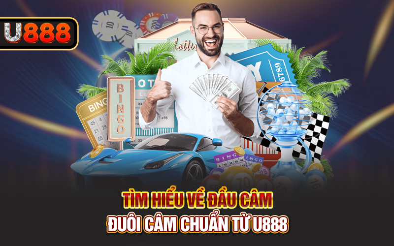 Tìm hiểu về đầu câm - đuôi câm chuẩn từ U888